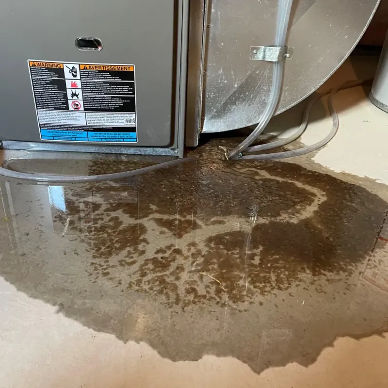 Appliance Leak Cleanup in Person County, NC